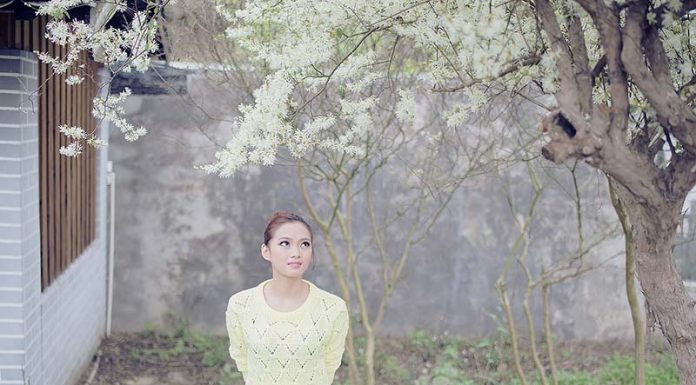 Foods Rich in Antioxidants for Healthy Aging