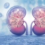 Obesity Linked To Development and Progression Of Kindney Diseases Amongst Indians Obesity linked to kidney disease