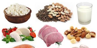 High Protein Diet